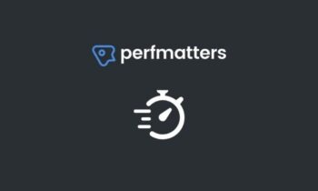 Perfmatters