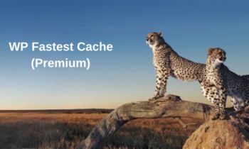 WP Fastest Cache Premium